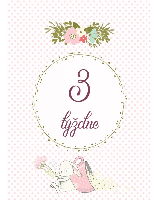 Míľnikové kartičky so zajkom