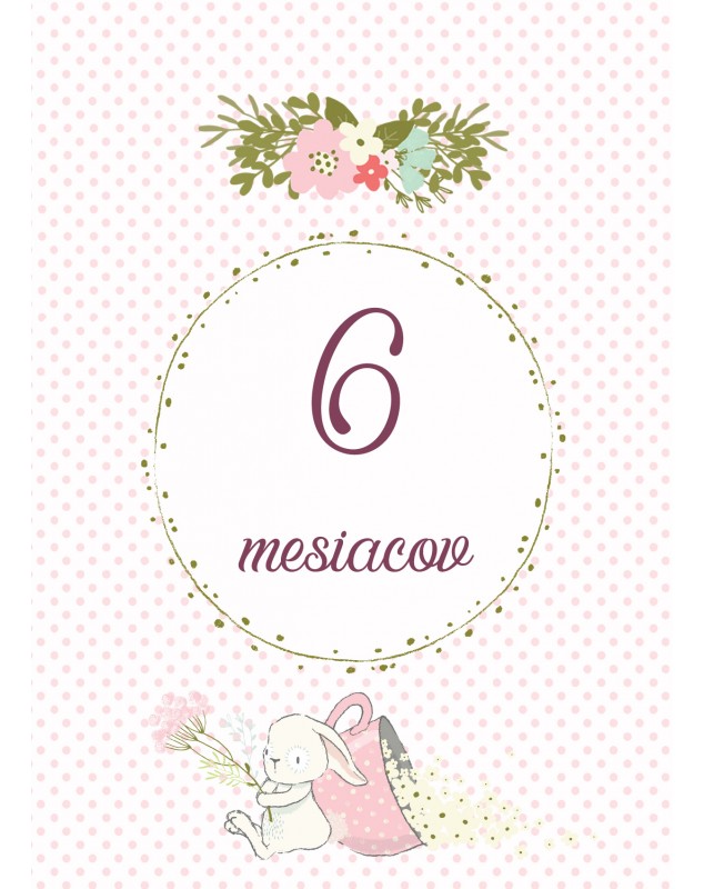 Míľnikové kartičky so zajkom