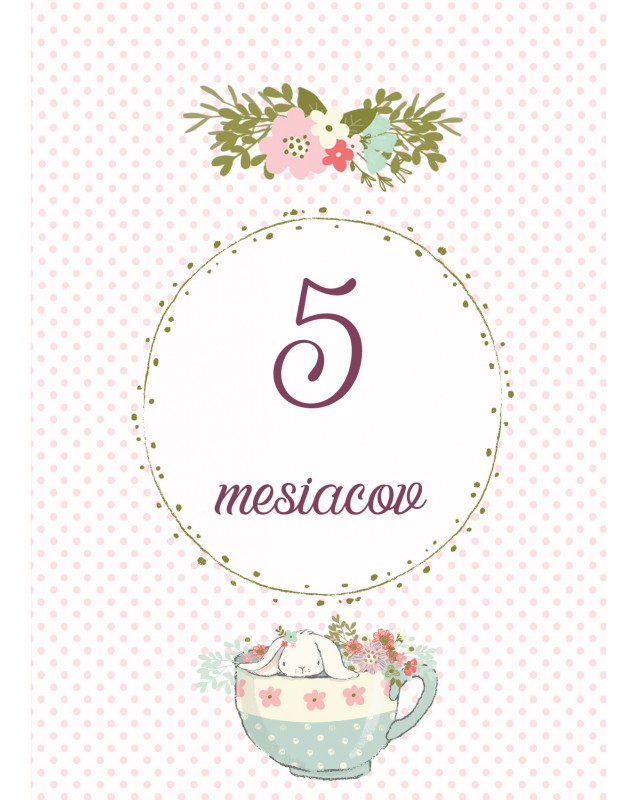 Míľnikové kartičky so zajkom