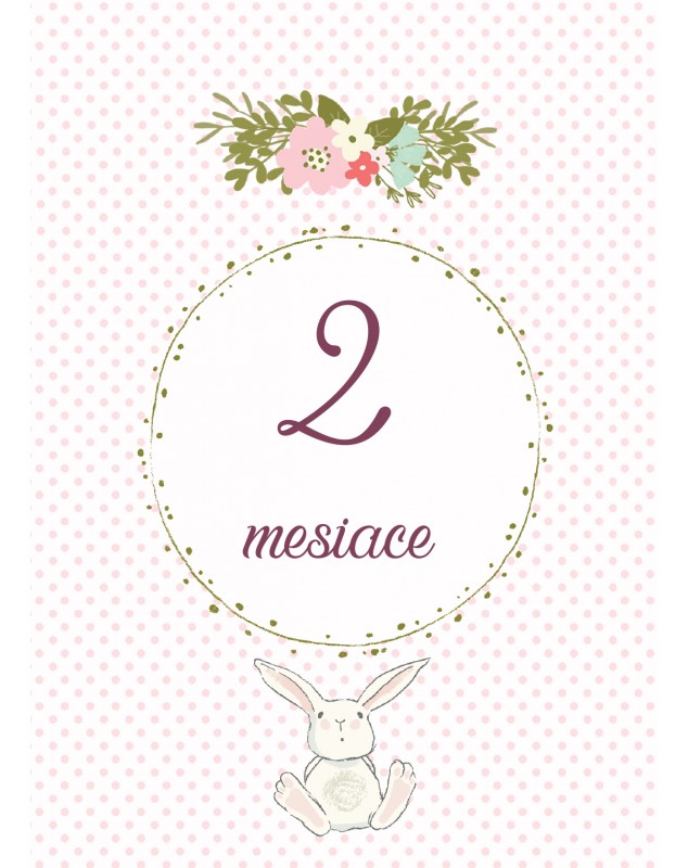 Míľnikové kartičky so zajkom