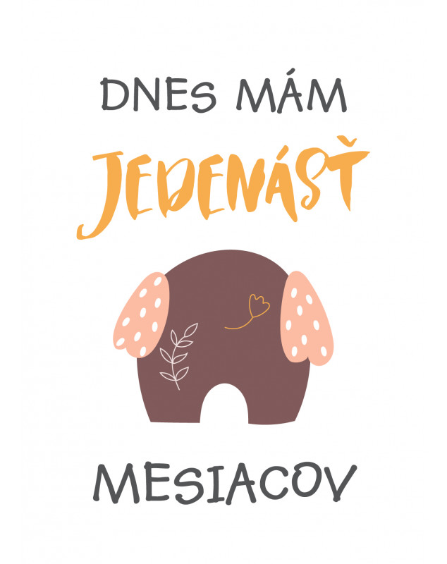 Míľnikové kartičky  sloniky