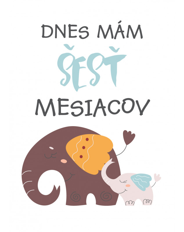 Míľnikové kartičky  sloniky