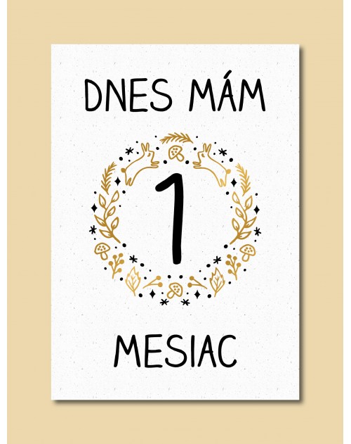 Jedinečné míľnikové kartičky na univerzálne použitie.