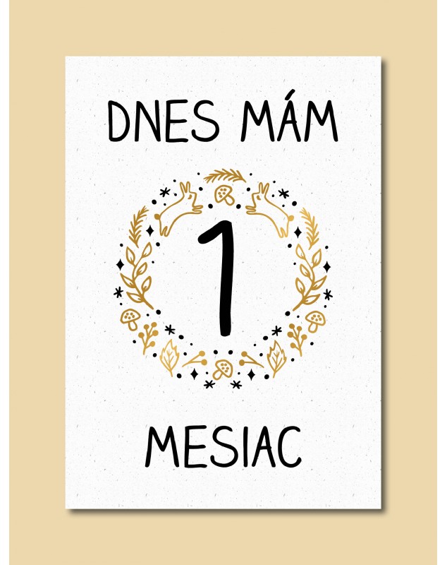 Jedinečné míľnikové kartičky na univerzálne použitie.