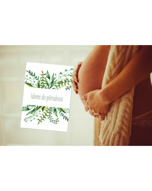 Tehotenské míľnikové kartičky Natural