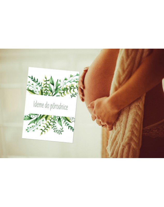 Tehotenské míľnikové kartičky Natural