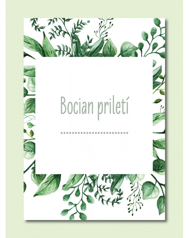 Tehotenské míľnikové kartičky Natural