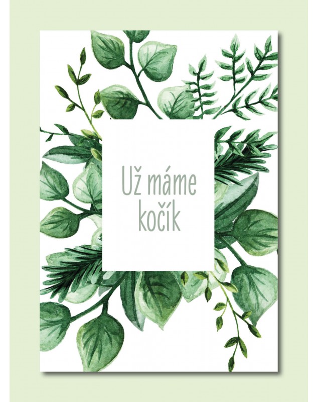 Tehotenské míľnikové kartičky Natural