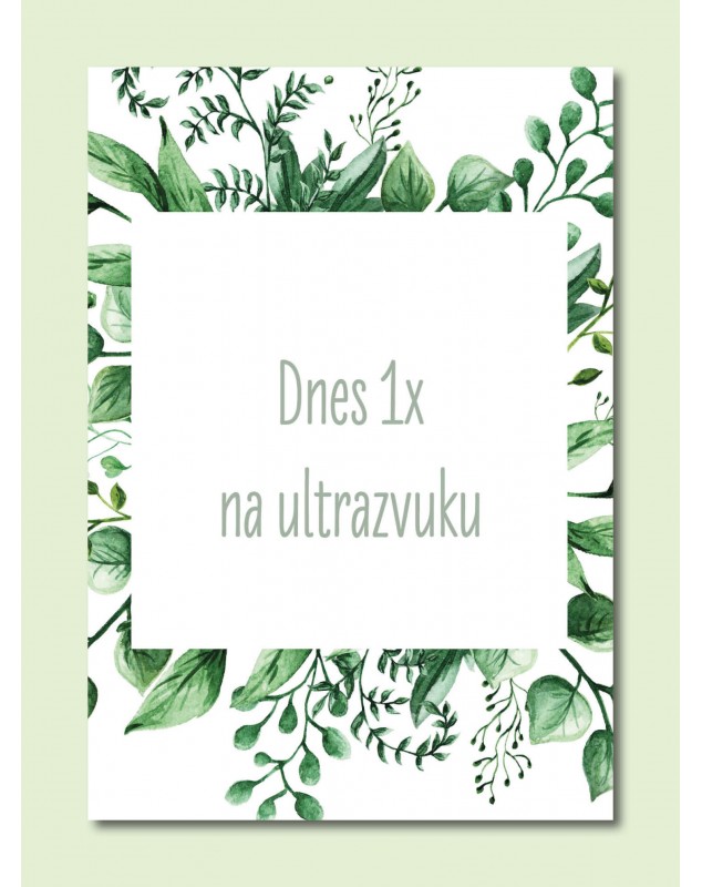 Tehotenské míľnikové kartičky Natural