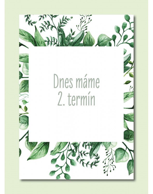 Tehotenské míľnikové kartičky Natural