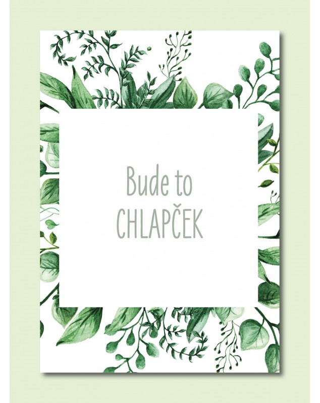 Tehotenské míľnikové kartičky Natural