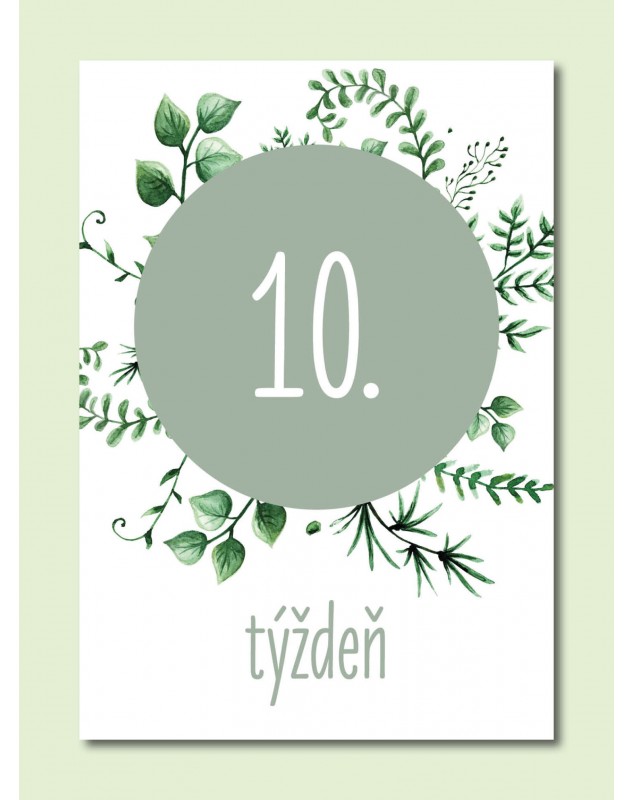 Tehotenské míľnikové kartičky Natural