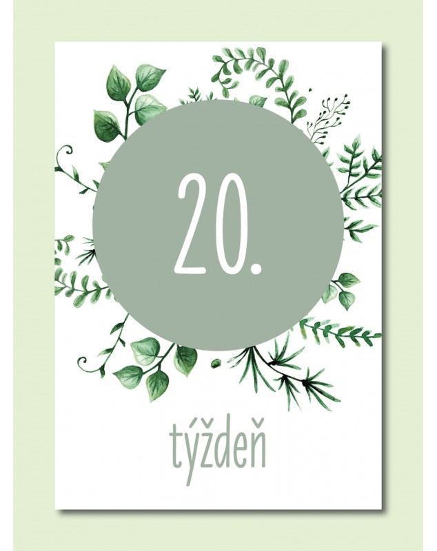 Tehotenské míľnikové kartičky Natural