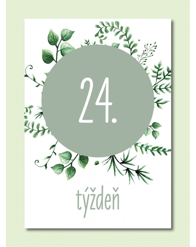 Tehotenské míľnikové kartičky Natural