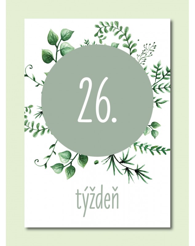 Tehotenské míľnikové kartičky Natural