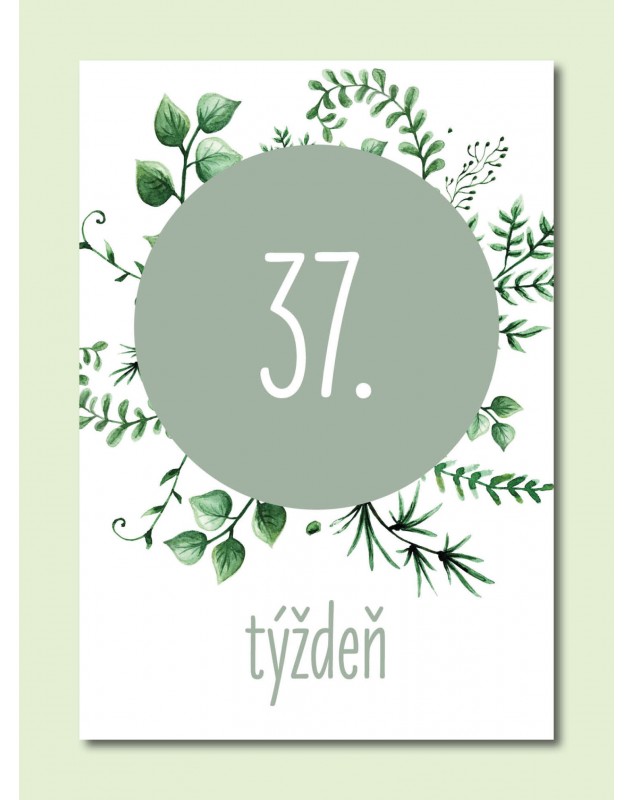 Tehotenské míľnikové kartičky Natural