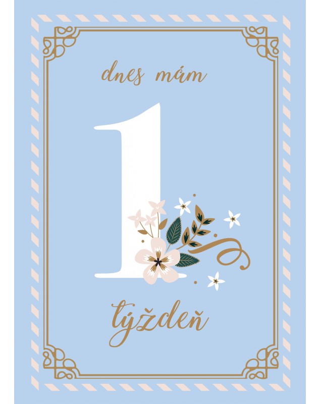 Míľnikové kartičky BLUE