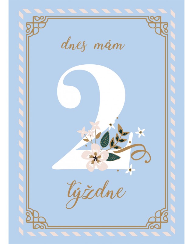 Míľnikové kartičky BLUE