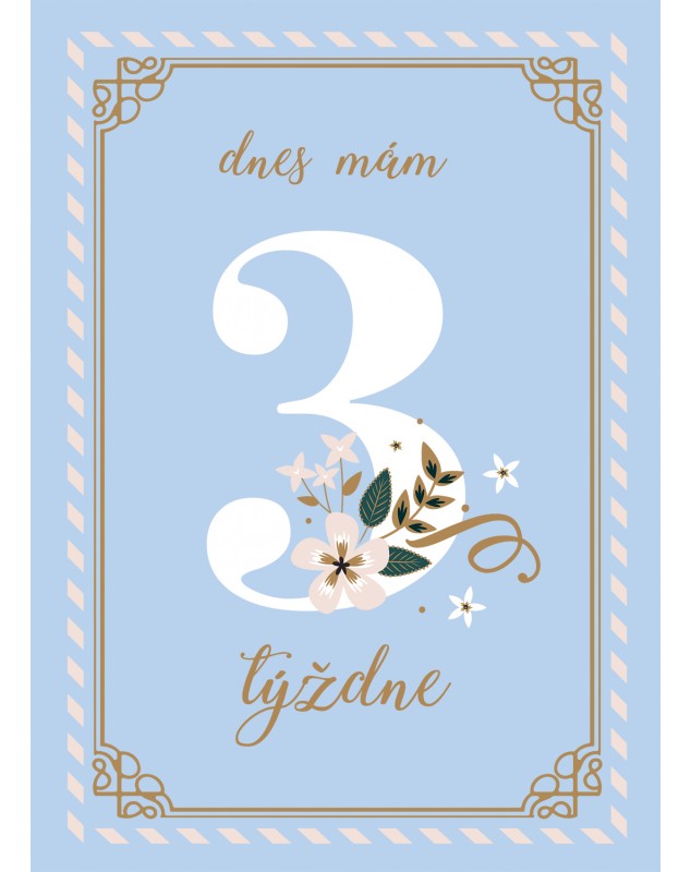 Míľnikové kartičky BLUE