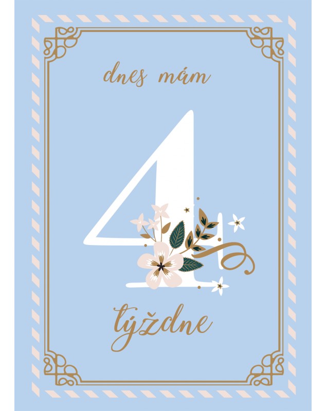 Míľnikové kartičky BLUE