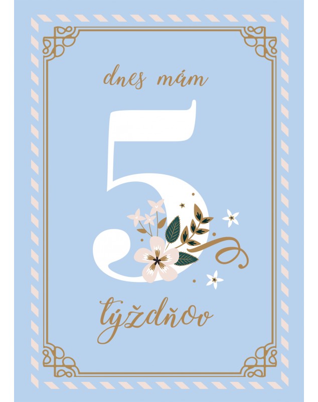 Míľnikové kartičky BLUE