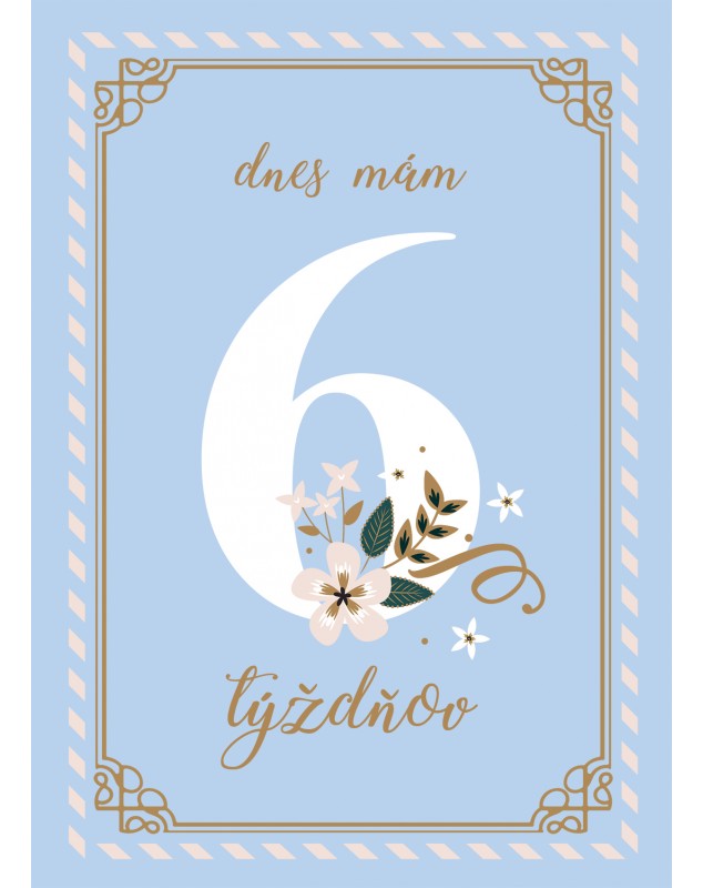 Míľnikové kartičky BLUE