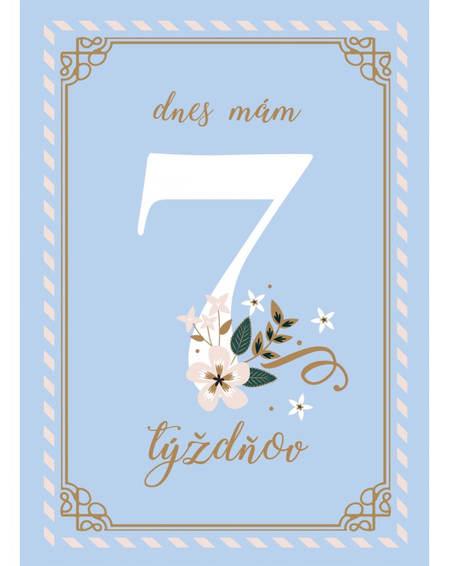 Míľnikové kartičky BLUE