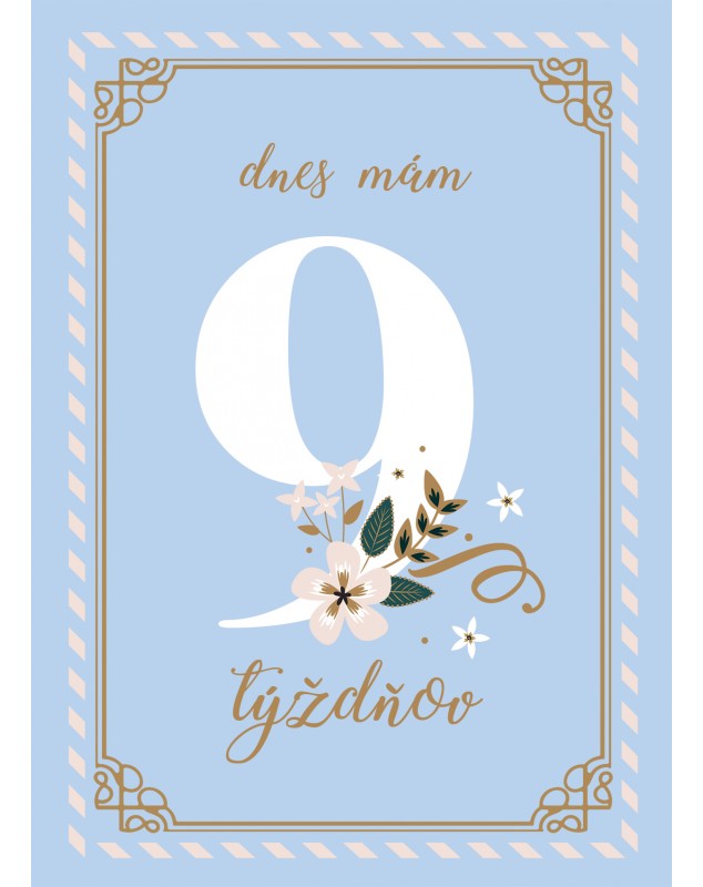 Míľnikové kartičky BLUE