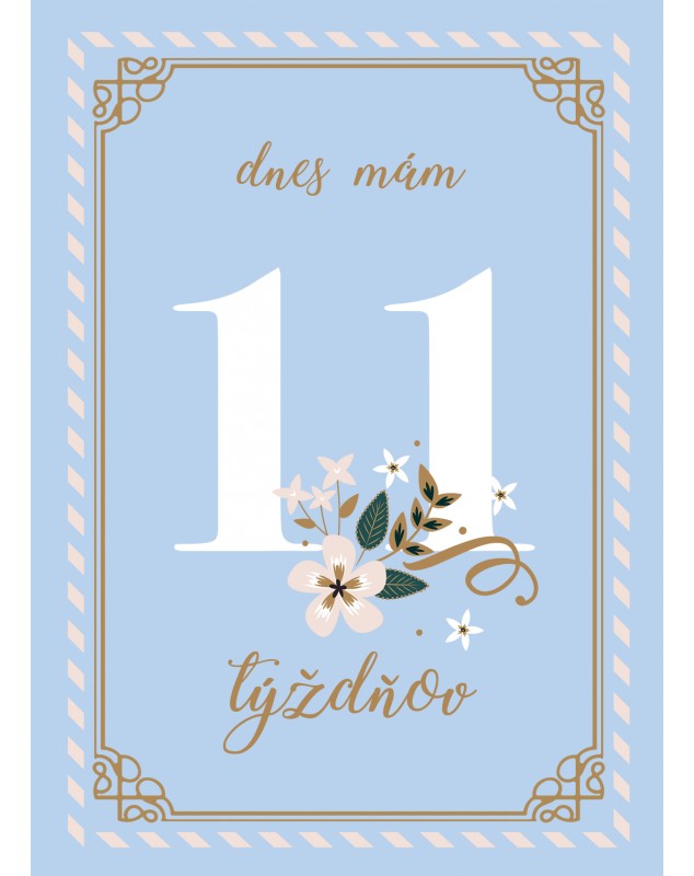 Míľnikové kartičky BLUE