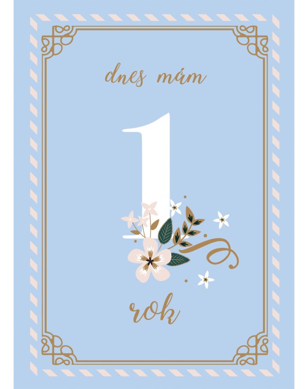 Míľnikové kartičky BLUE