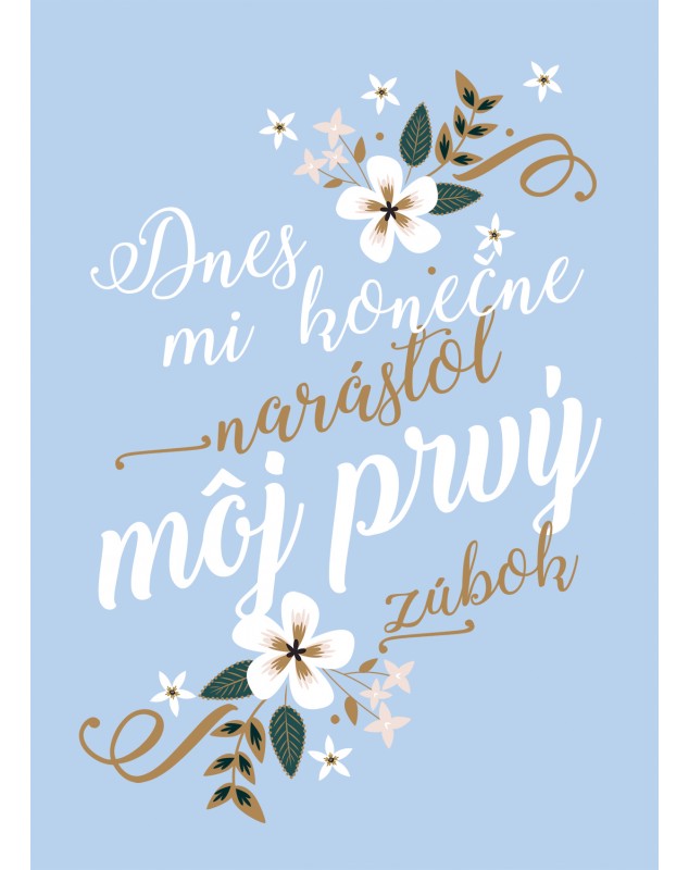 Míľnikové kartičky BLUE